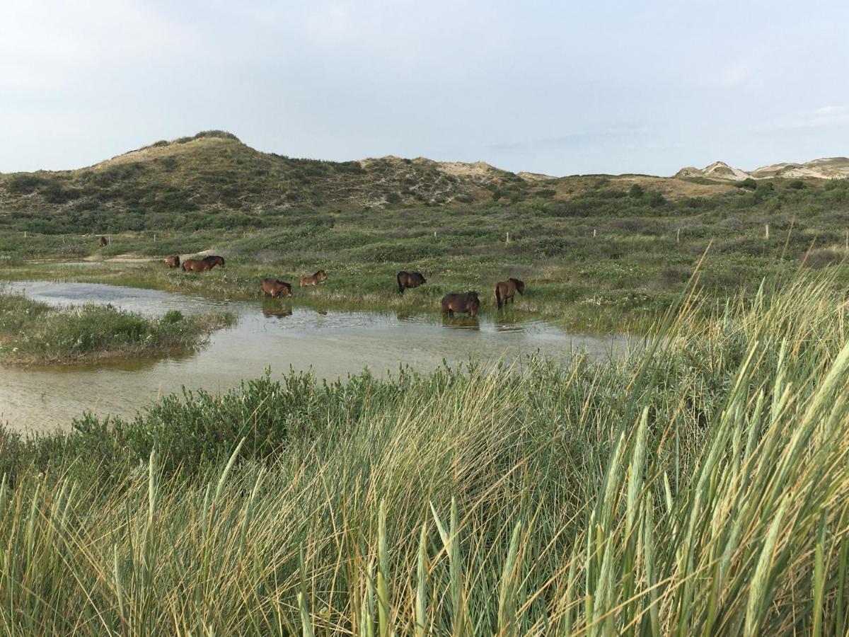 De Duinlopers - Studio Appt Bries - Strand, Duinen En Nabij Cultuur Steden Castricum Ngoại thất bức ảnh