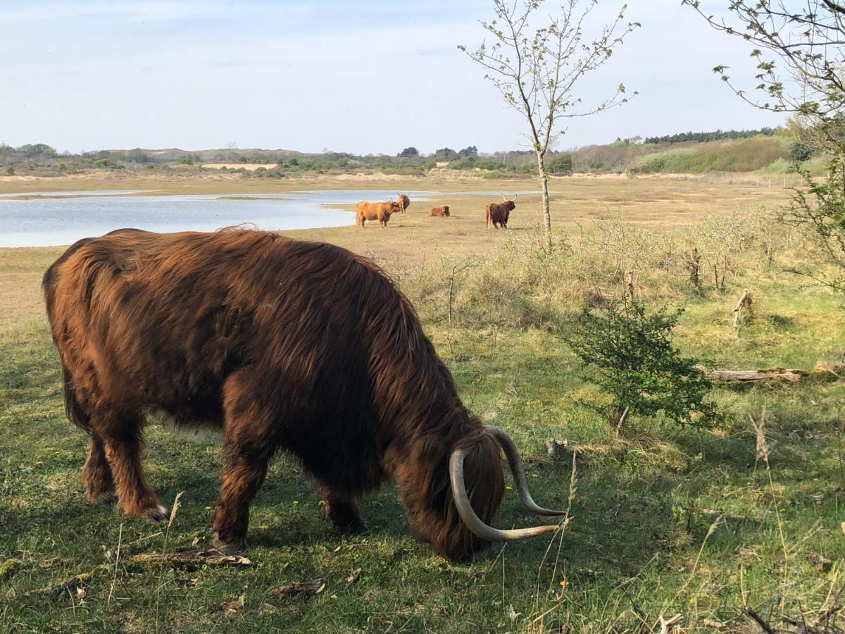 De Duinlopers - Studio Appt Bries - Strand, Duinen En Nabij Cultuur Steden Castricum Ngoại thất bức ảnh