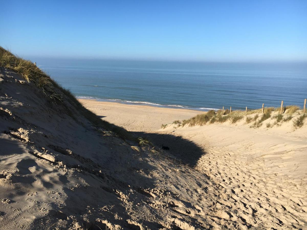 De Duinlopers - Studio Appt Bries - Strand, Duinen En Nabij Cultuur Steden Castricum Ngoại thất bức ảnh